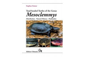 Toad-headed Turtles of the Genus Mesoclemmys